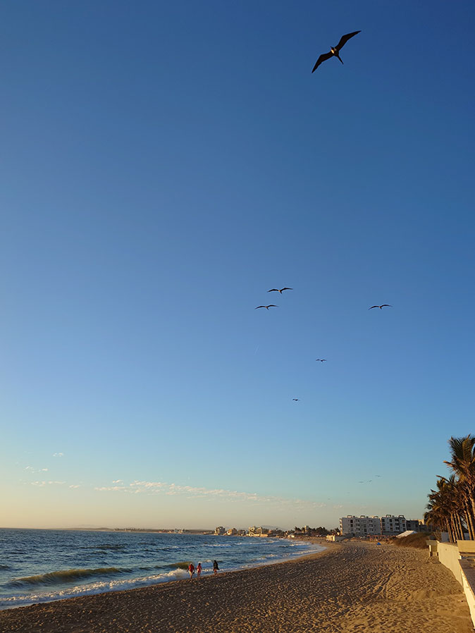 20240407_180444_0.jpg 69kb