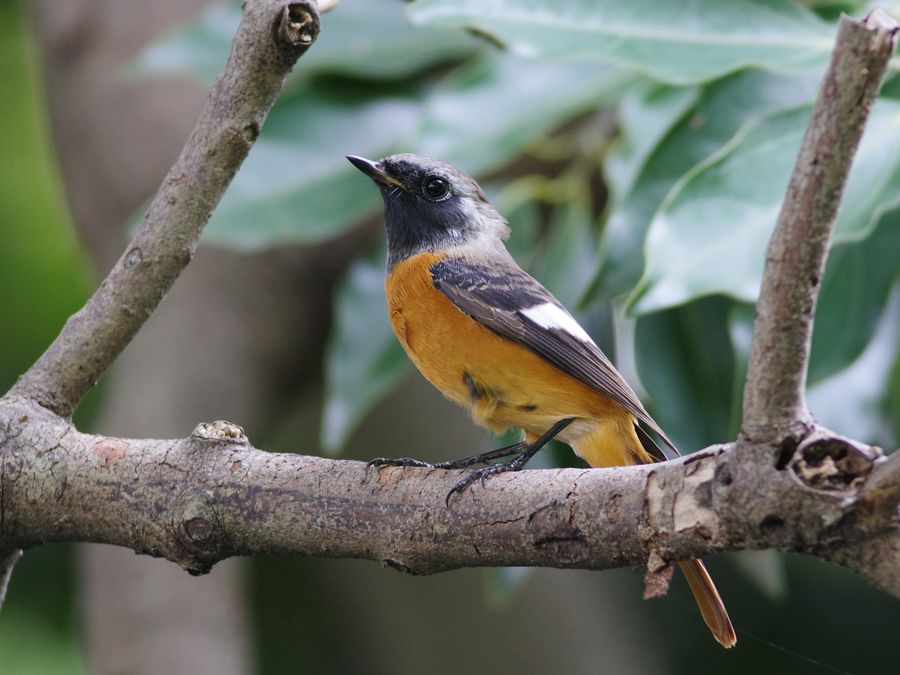 K33_3360.jpg 136.5kb