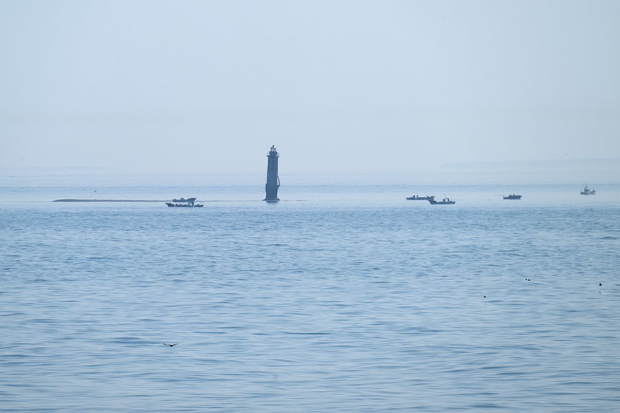 kaigarajimatoudai_250624_z9_600mm_3034_900.jpg 60.7kb