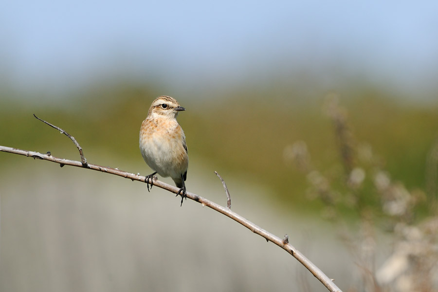 mamijironobitaki_091012_0512.jpg 50.1kb